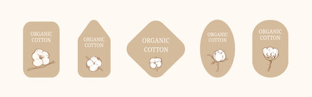 backgrounds of different shapes. Horizontal set labels with cotton balls on a beige neutral background and the inscription: organic cotton. The composition of the logo. Illustration cotton branch - vintage style.のイラスト素材