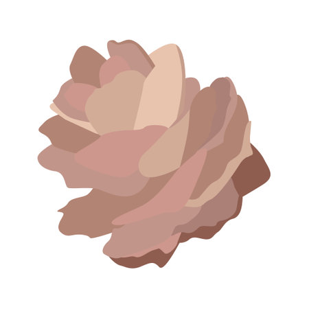 Pine cone. vector illustrator. one element.のイラスト素材
