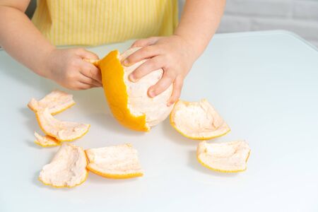 a little girl in a yellow blouse sits at a table in the kitchen and peels a grapefruit. fruit in children's nutritionの写真素材