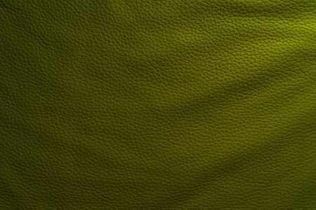 rich green rough skin textureの写真素材