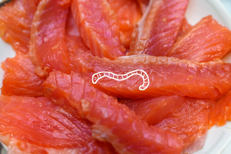 pieces of slightly salted salmon close-up. the basis of the keto diet red oily fish