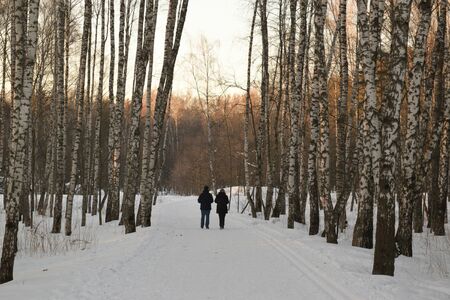 couple of people walking in a winter parkの写真素材