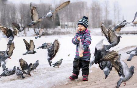 a child in a striped overalls and hat feeds millet pigeons from a bag in winter. pigeons fly beautifullyの写真素材