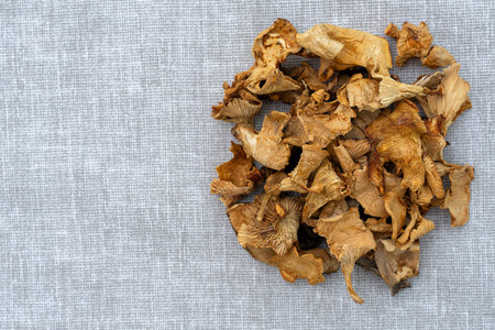 dried mushrooms on coarse tissue. dry chanterelle mushroomsの写真素材