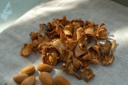 nuts and dried mushrooms. vegetable protein for vegetariansの写真素材