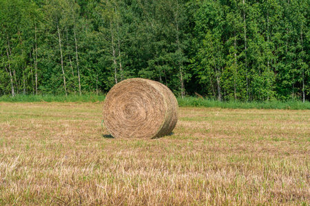 haystack on a field on a summer day