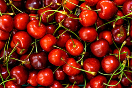 Red cherries in full screen. The texture of cherries.の写真素材
