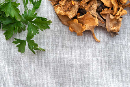 composition of dried mushrooms, parsley. healthy eating concept. layout, place for textの写真素材