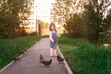 beautiful little girl in a denim sundress feeding pigeons with bread in the yardの写真素材