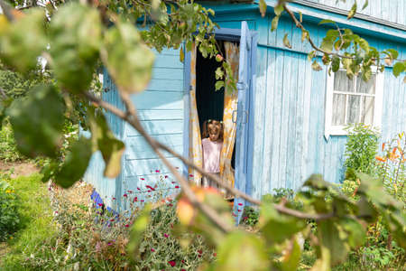 a little girl comes out of an old wooden village house into an apple orchard. summer vacation concept in the countryの写真素材