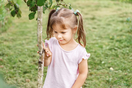 little girl near a young tree in nature. shows interest in nature