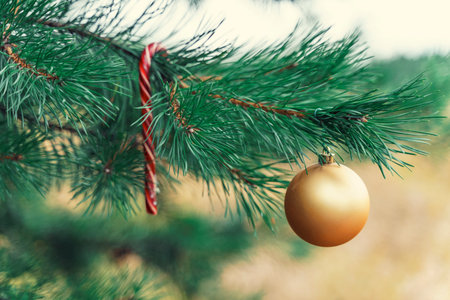 Closeup of Christmas Ball on Christmas Tree with bokeh beautiful background