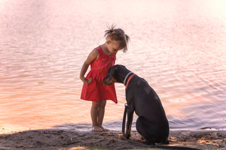 Caucasian little girl in a red dress stands on the shore of the lake with a Doberman dog at sunset. summer vacation concept with petsの写真素材