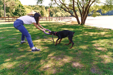 Cheerful brunette woman spends time with soy dog Doberman by the lake. puppy playing with a toy ring. Walking dogs in nature.の写真素材