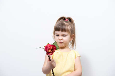 the little girl was not given a fresh rose. the child is not happyの写真素材