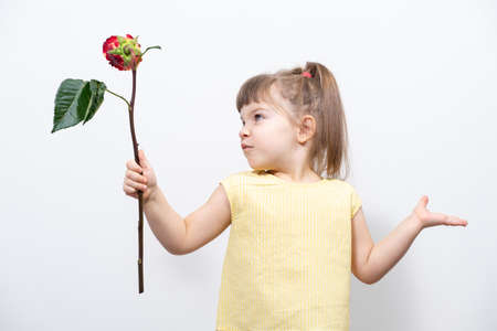 kid girl in a yellow blouse holds a bad rose in her hands and spread her arms to the sides in disbeliefの写真素材
