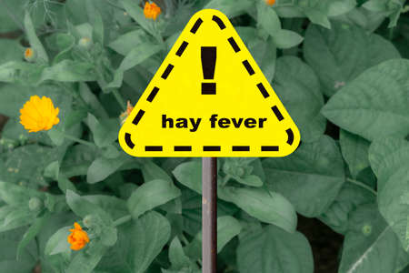hay fever sign on a flowering background.の写真素材