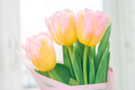Bouquet of pink tulips in glass vase on windowsill. Spring Holiday concept.の写真素材