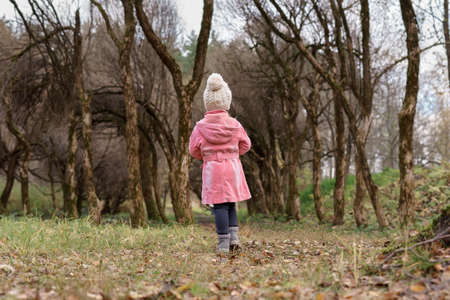 child girl in a pink coat walks along a forest path in an autumn day. fall season concept.の写真素材