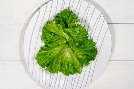 green salad leaves on a white dish.の写真素材