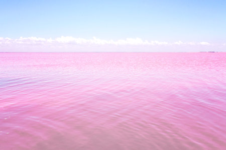 Pink lake. Travel and dreams concept. Fabulous landscape.