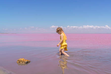 A little girl in a yellow dress walks along the coast of a pink lake.の写真素材