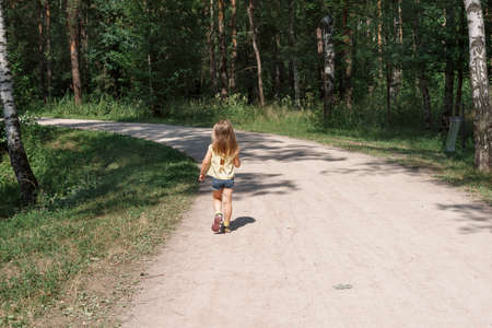 child girl walks along a path in a city park on a summer sunny day, view from the backの写真素材