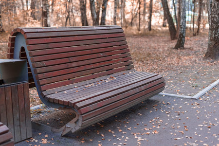 empty wooden bench in autumn park, leaf fall