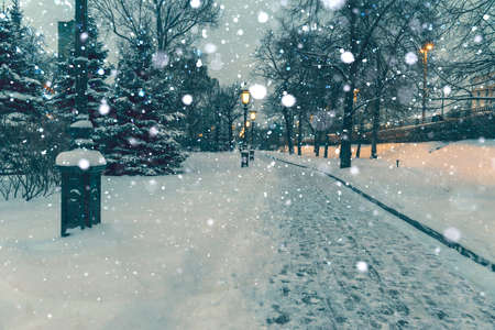 alley with street lamps of the Alexander Garden on a winter night in heavy snowfall. fluffy white snow swirls beautifullyの写真素材