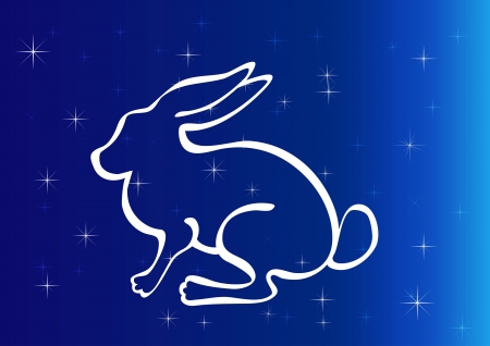 Rabbit silhouette on starry night sky.のイラスト素材