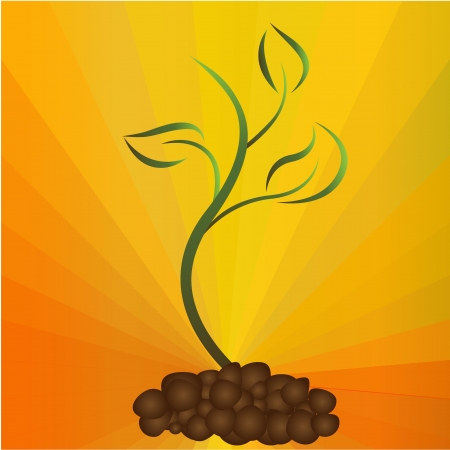 Green sprout on sunny yellow and orange background.のイラスト素材