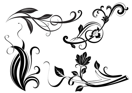 Black and white floral branches design elements. のイラスト素材