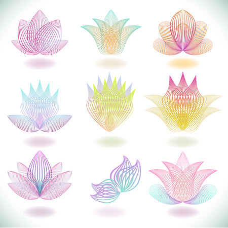 Color line blend flower elements isolated on white background.のイラスト素材