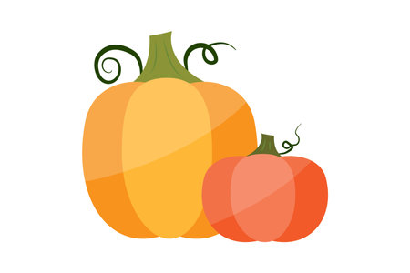 Yellow and orange pumpkins. Holiday time. Thanksgiving day. Autumn vegetables. Vector illustration. Stock image.のイラスト素材
