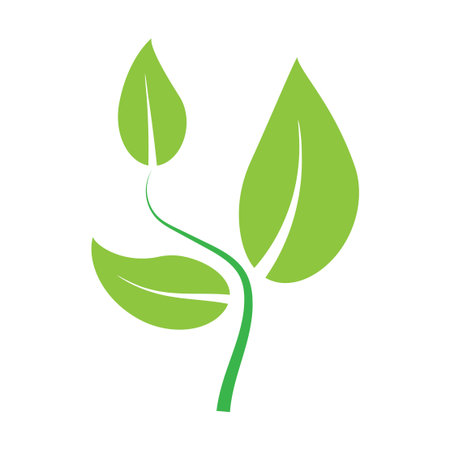 Green leaf eco. Leaf logo. Organic icon. Nature care. Green farm. Spring decoration. Vector...