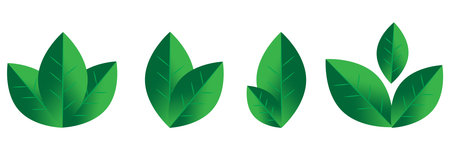 Green small leaves icon set. Nature art background. Ecology concept. Organic emblem. Vector illustration. Stock image.のイラスト素材