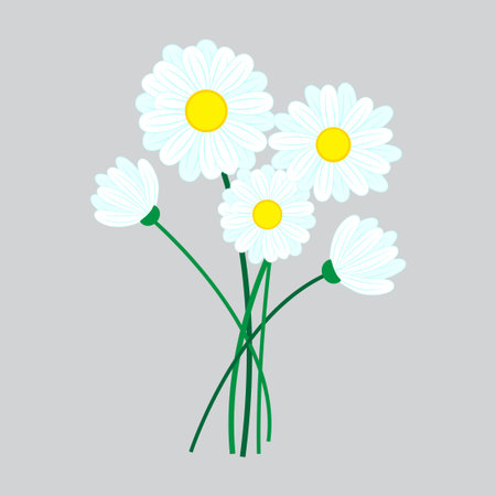 Doodle white daisies for print design. Spring floral vector illustration. Ditsy print. Vector icon illustration. EPS 10.のイラスト素材