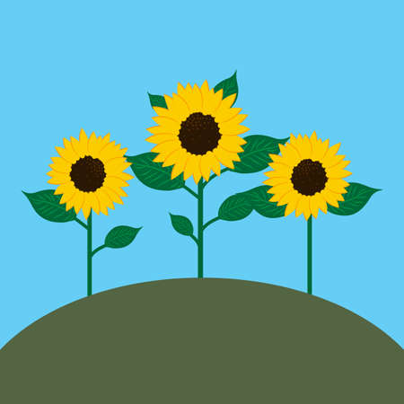 Sunflowers on the hill. Blue background. Countryside nature art. Farm landscape..Vector illustration. Stock image.のイラスト素材