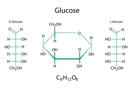 Glucose chemical formulas. Molecular structure. Science element. Organic compound. Vector illustration. Stock image.のイラスト素材