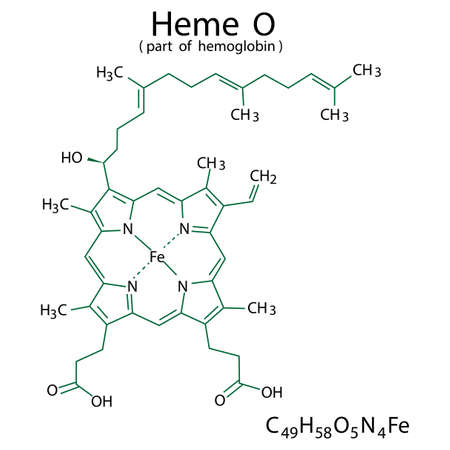 Heme O chemical formula. Part of hemoglobin. Molecular structure. Organic compound. Vector illustration. Stock image.のイラスト素材