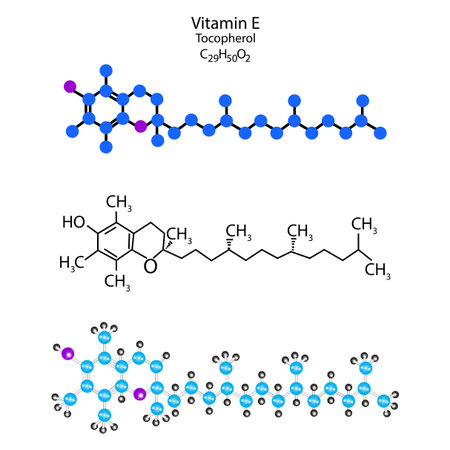 Vitamin E molecular structure. Tocopherol skeletal formula. Scientific background. Vector illustration. Stock image.のイラスト素材