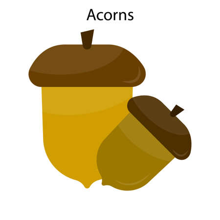 Acorns sign. Food logo. Autumn season. Oak symbol. Nature concept. Simple design. Vector illustration. Stock image.のイラスト素材