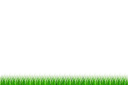 Grass border. Summer natural background, green grass. Vector illustration. Eps 10.のイラスト素材