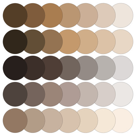 Neutral color palette guide. Earth tone selection. Grayscale variation. Vector illustration. EPS 10.のイラスト素材