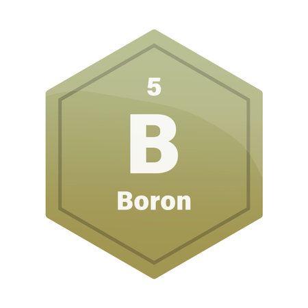 Boron chemical element tile. Atomic number 5. B chemical sign. Khaki green Vector hexagon. EPS 10.のイラスト素材