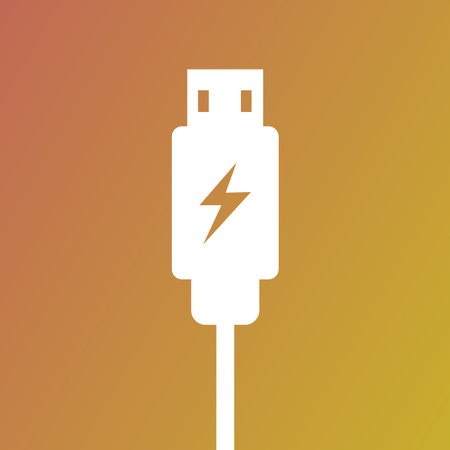 Usb cable icon. Charge plug symbol. Power connection Vector. Data port art. EPS 10.