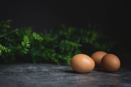 Brown eggs on the dark background with the green plantsの写真素材
