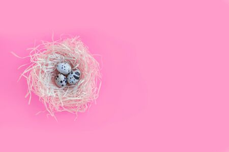 Small beautiful quail eggs in the hay nest on the plain background top viewの写真素材