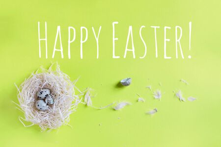 Small beautiful quail eggs in the hay nest on the plain background top viewの写真素材