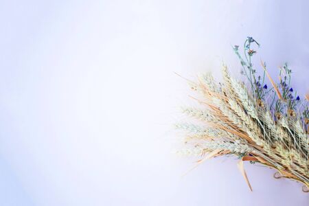 The dry bouquet lays on the lilac background with different fall flowers autumnの写真素材